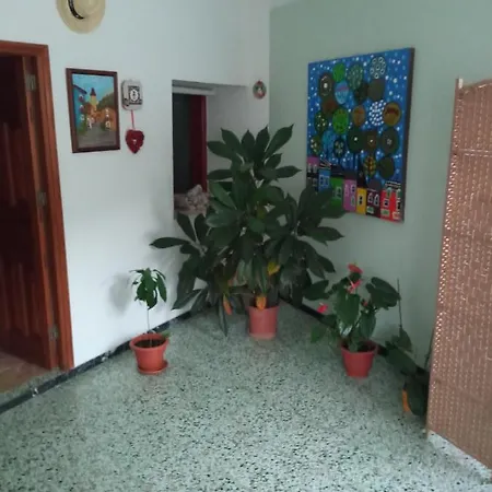 Konukevi Lagarto *
