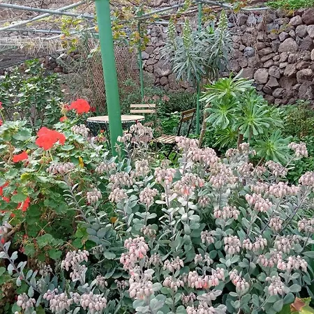 Lagarto Gasthof Agaete (Gran Canaria)