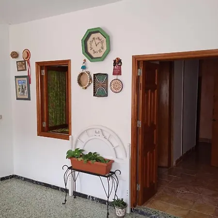 Lagarto