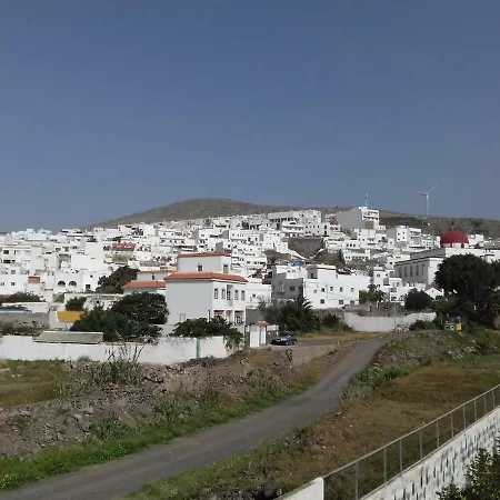 Lagarto Agaete (Gran Canaria)